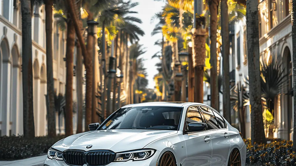 BMW F30 | AutoWin Floor Mats